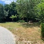 Borsi Lejlighed